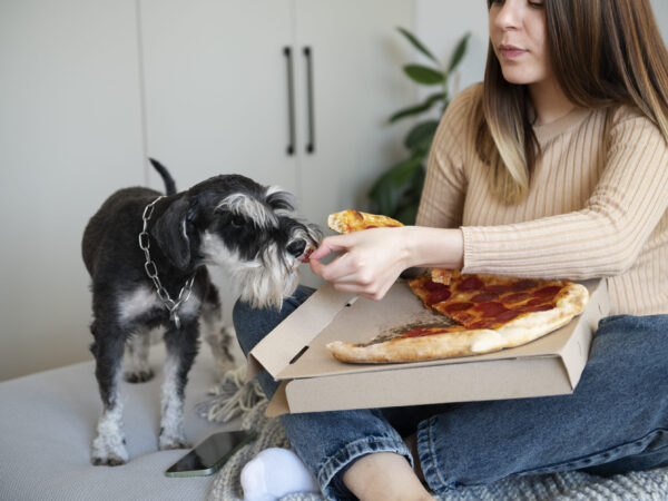 Produtos para cachorro: cachorro pode comer restos de comida?
