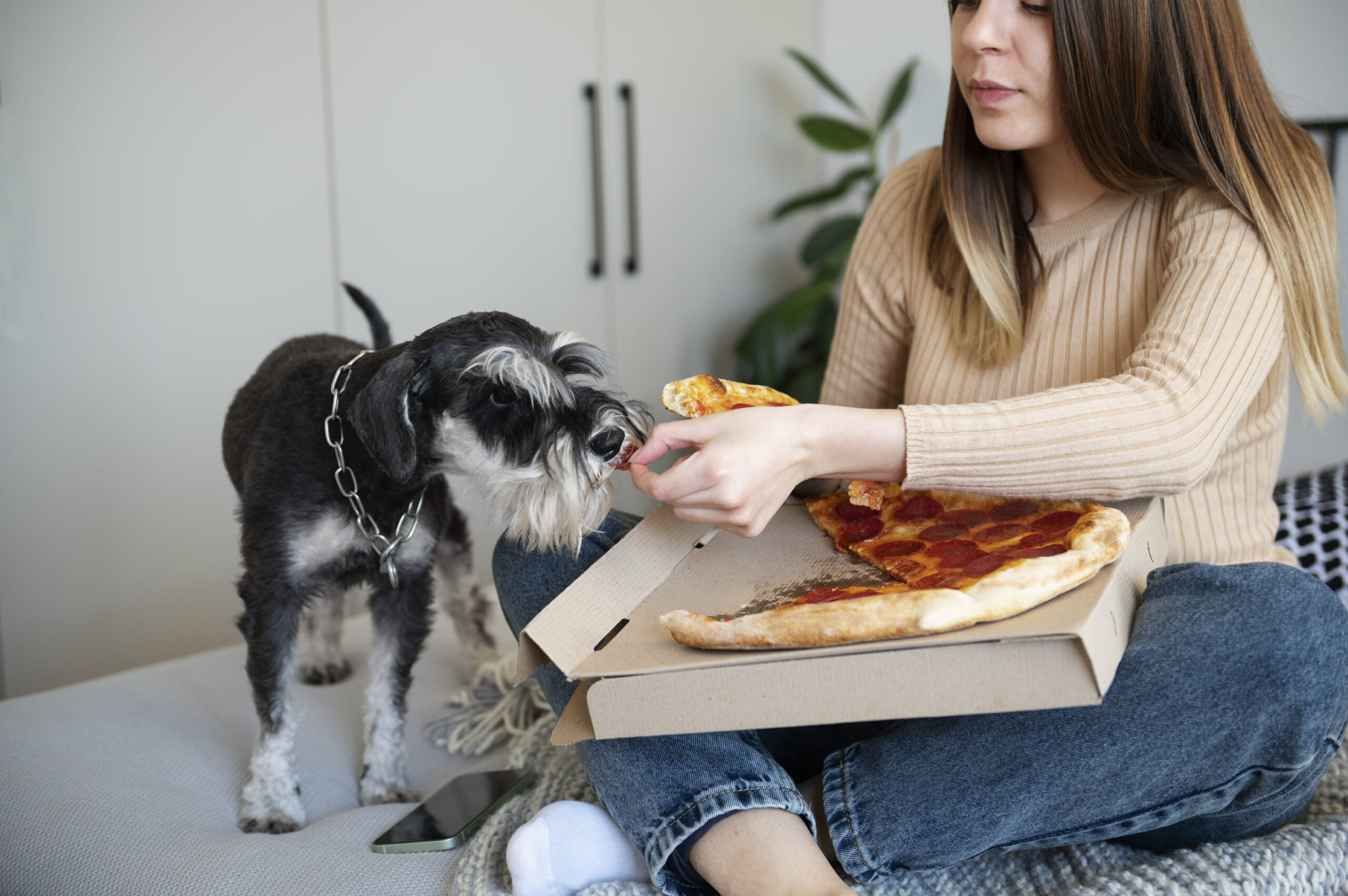 Produtos para cachorro: cachorro pode comer restos de comida?