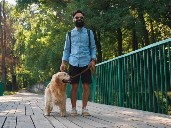 Seu cão late no passeio? Entenda como mudar isso