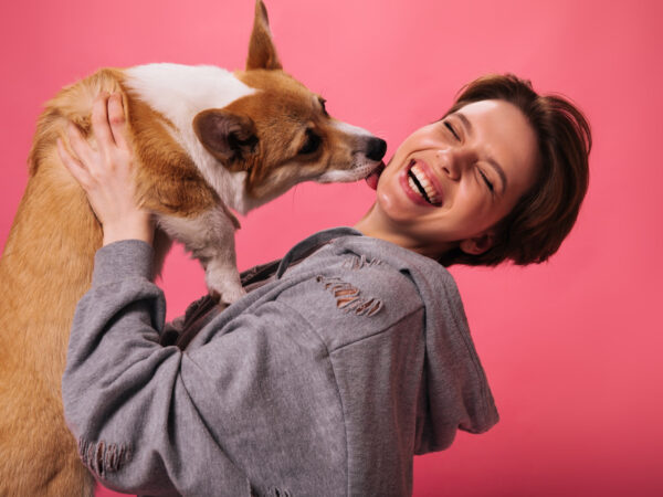 4 brincadeiras para fazer com seu cão