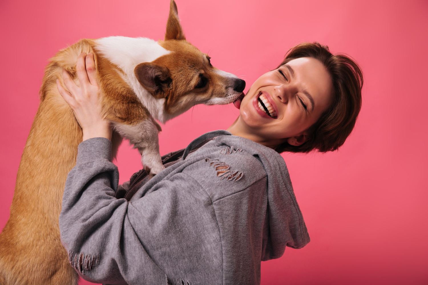 4 brincadeiras para fazer com seu cão