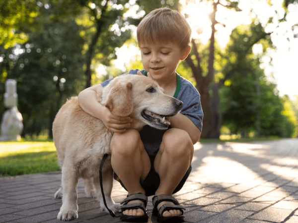 Quais as raças de cães são ideais para crianças?   