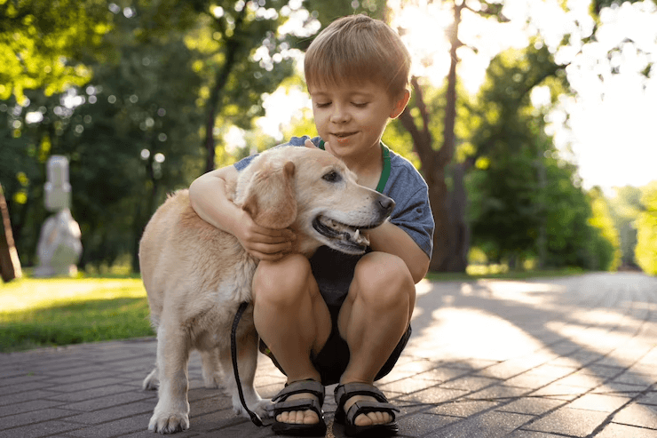 Quais as raças de cães são ideais para crianças?   
