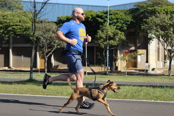 Moda canina: acessórios que toda loja de cachorro deveria ter