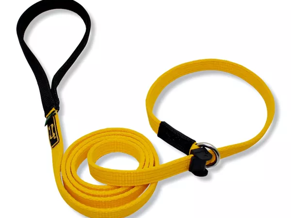 Equipamento training k9: conheça as melhores opções de peitorais e guias