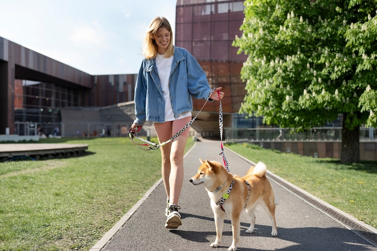 Guia para o passeio perfeito: como escolher a melhor para seu cão