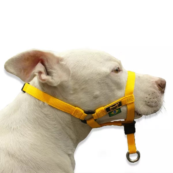 A eficiência da guia cabresto para o controle do seu cachorro