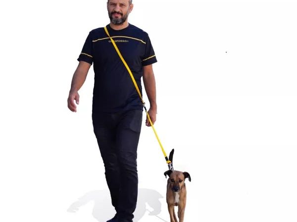 Como a coleira mãos livres transforma seus passeios com o pet?