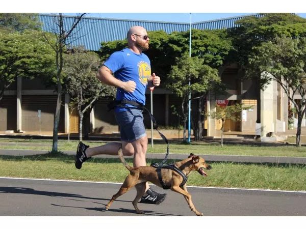 Desbrave o canicross: Equipamento essencial para aventureiros e cães ativos