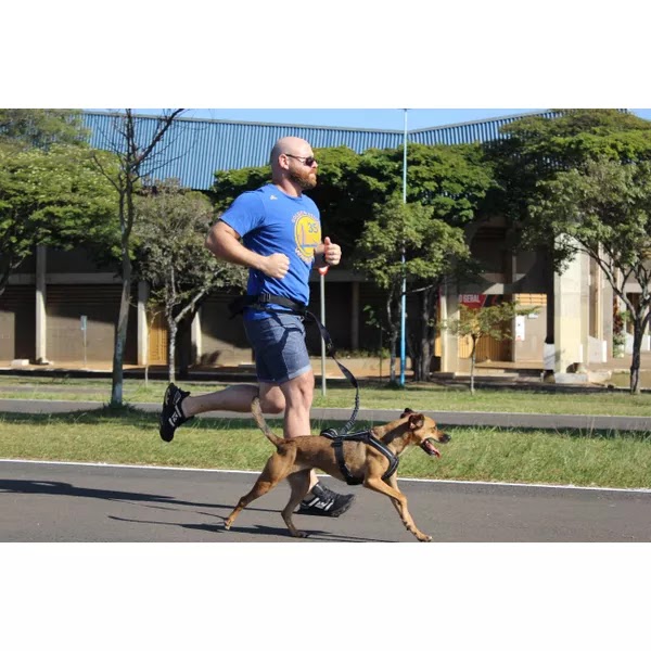 Desbrave o canicross: Equipamento essencial para aventureiros e cães ativos