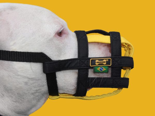 Escolhendo o kit focinheira certo para o seu cachorro