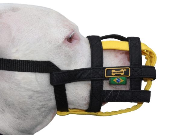 Escolha a focinheira certa para seu pet: Tipos e funcionalidades