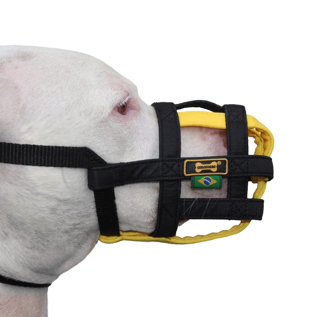 Escolha a focinheira certa para seu pet: Tipos e funcionalidades