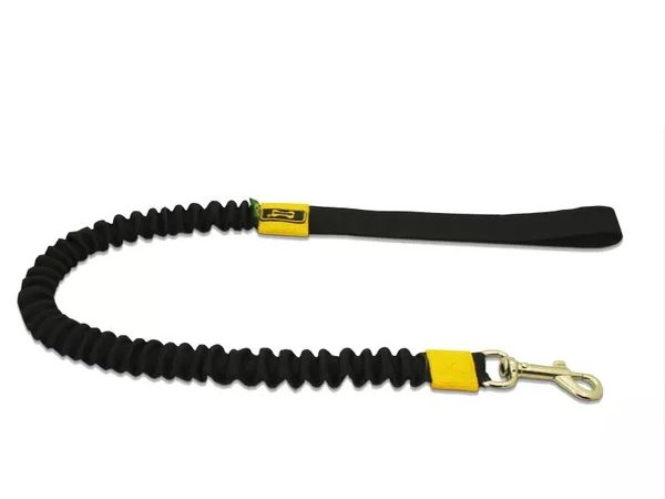 A Guia com Amortecedor é a Melhor Escolha para o Seu Pet?