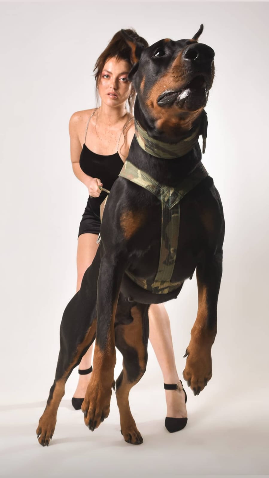 A Importância da Coleira de Corpo para Cachorros Grandes