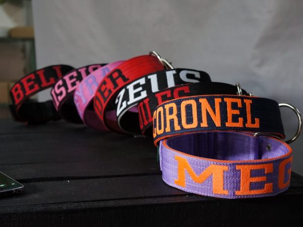 Coleira Personalizada para Cachorro: Adicione Estilo e Segurança aos Passeios