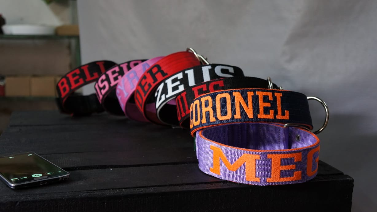 Coleira Personalizada para Cachorro: Adicione Estilo e Segurança aos Passeios