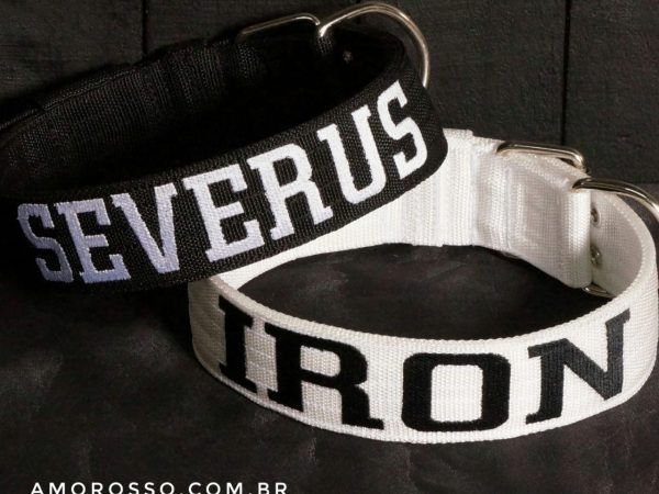 Coleira Tradicional vs Coleira Peitoral: Qual a Melhor Opção para o Seu Pet?