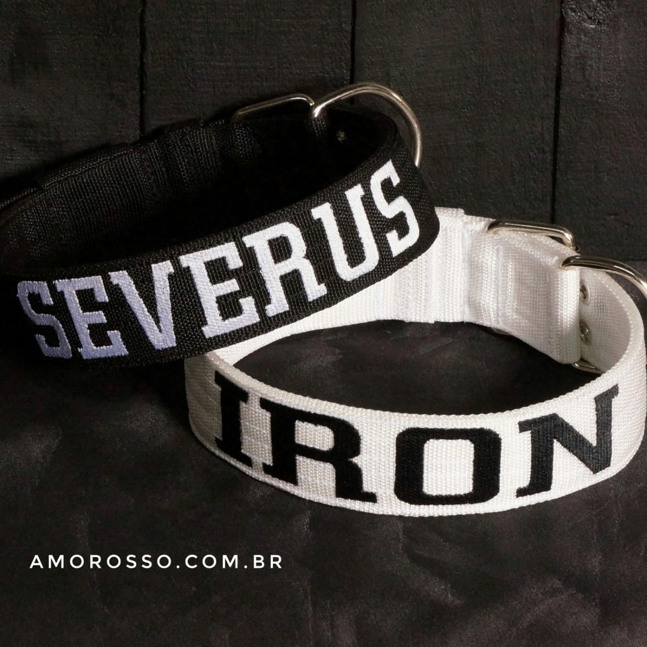 Coleira Tradicional vs Coleira Peitoral: Qual a Melhor Opção para o Seu Pet?