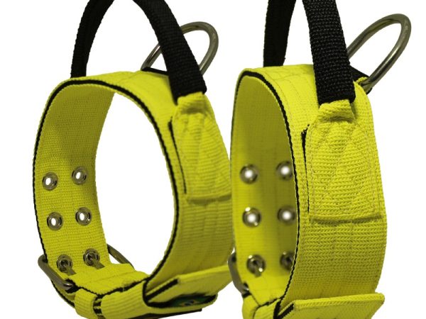 Conheça a Coleira com Alça: Uma Alternativa Segura para o Seu Cachorro