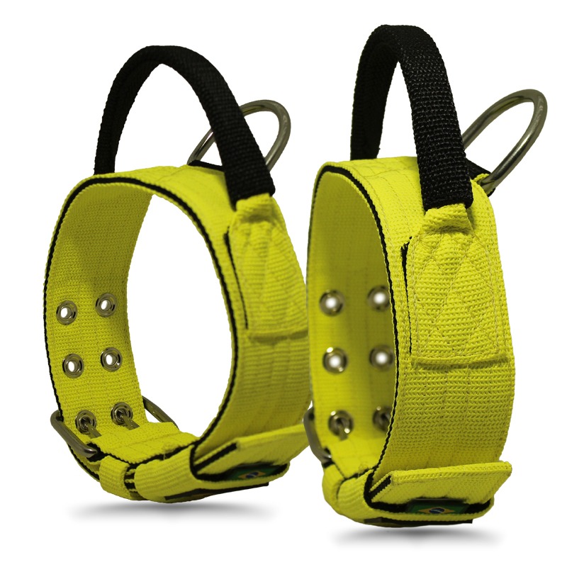 Conheça a Coleira com Alça: Uma Alternativa Segura para o Seu Cachorro