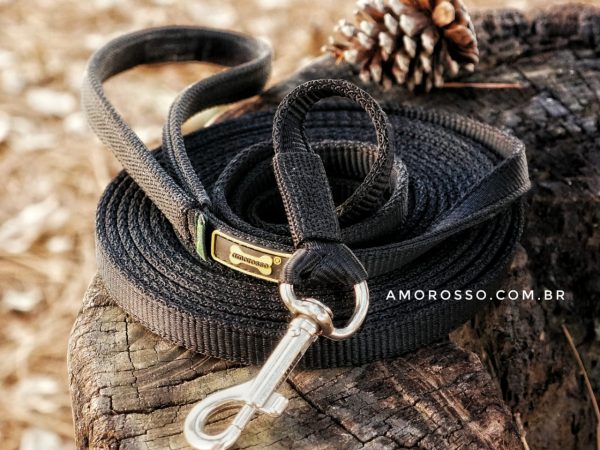 Conheça a Importância da Guia com Mosquetão para Passear com o Seu Cachorro