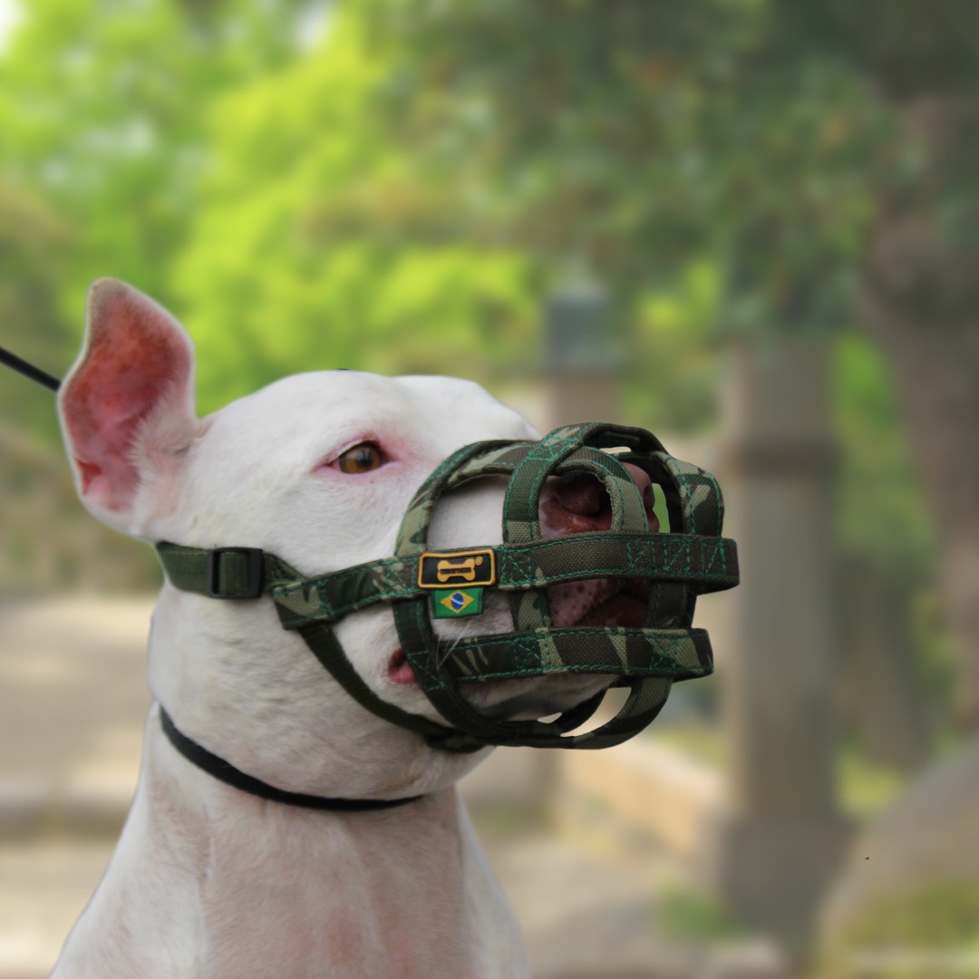 Focinheiras Para Cães: A Sua Importância e Diferentes Modelos