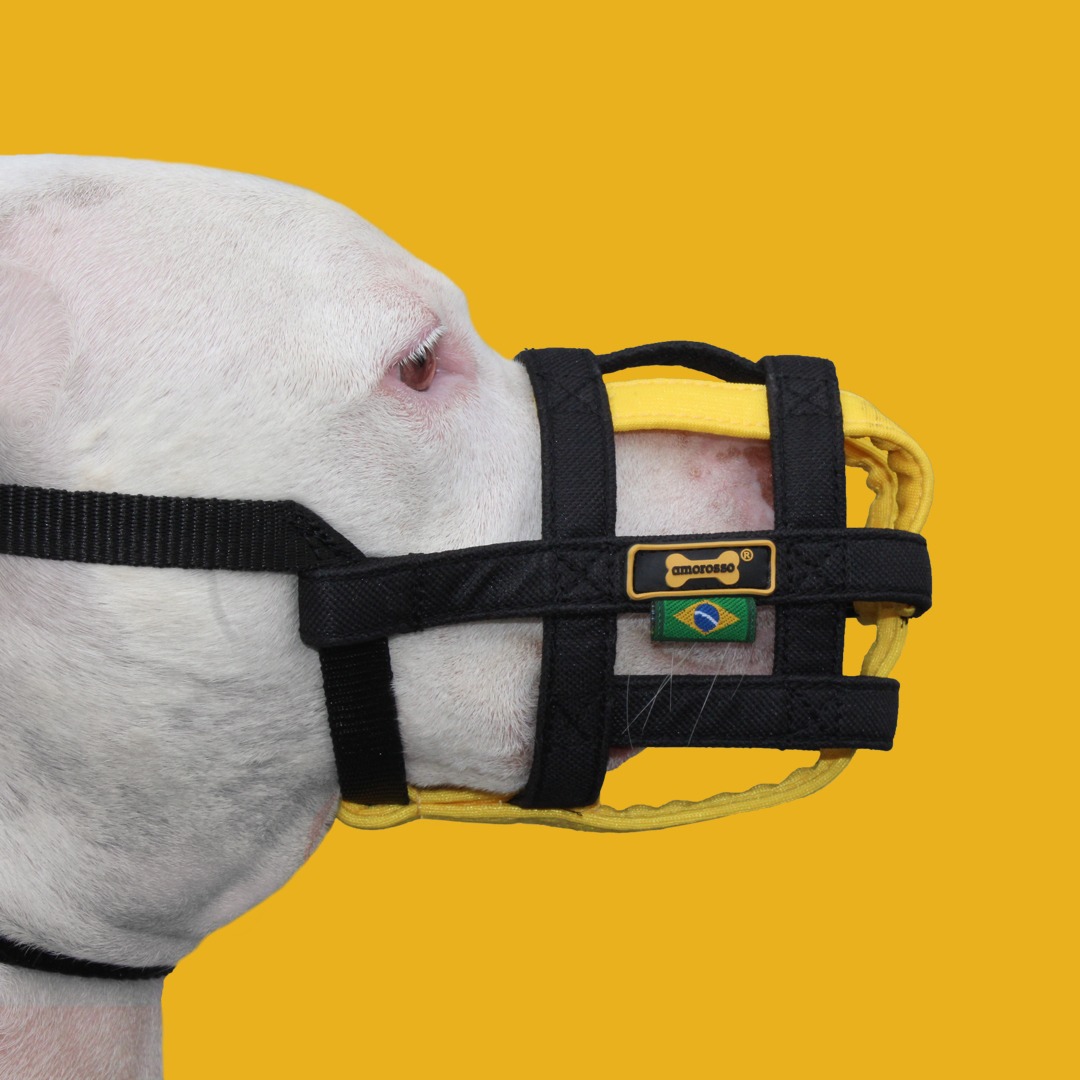 Qual a melhor focinheira para Pitbulls?