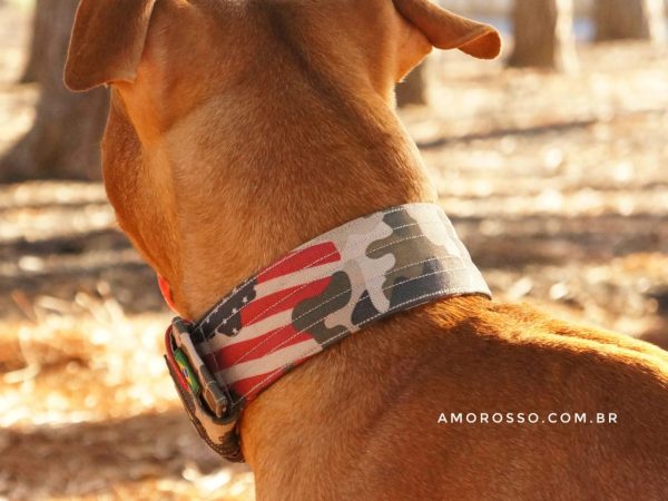 Deixe seu pet estiloso com coleiras estampadas