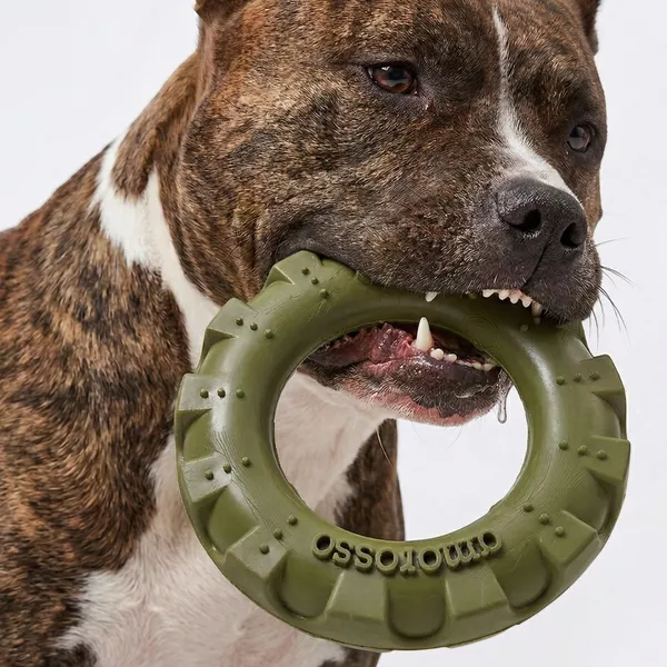 Por que investir em brinquedos para o seu cachorro?