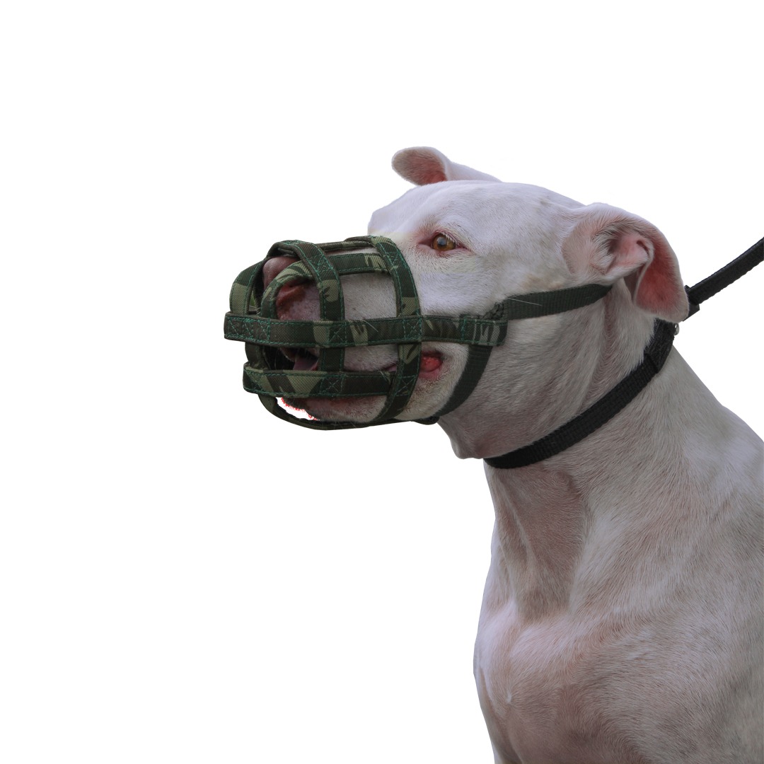 Guia prático para escolher a focinheira ideal para seu cão